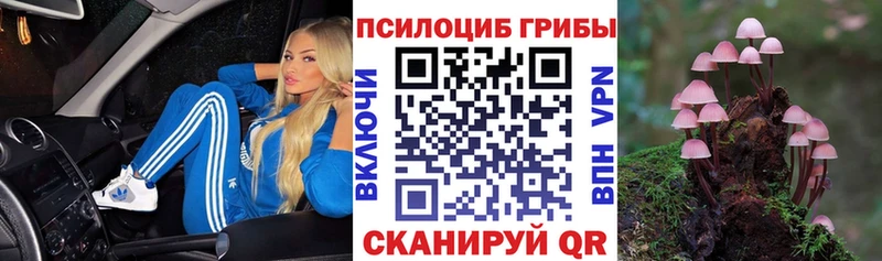 Псилоцибиновые грибы мицелий купить Канск