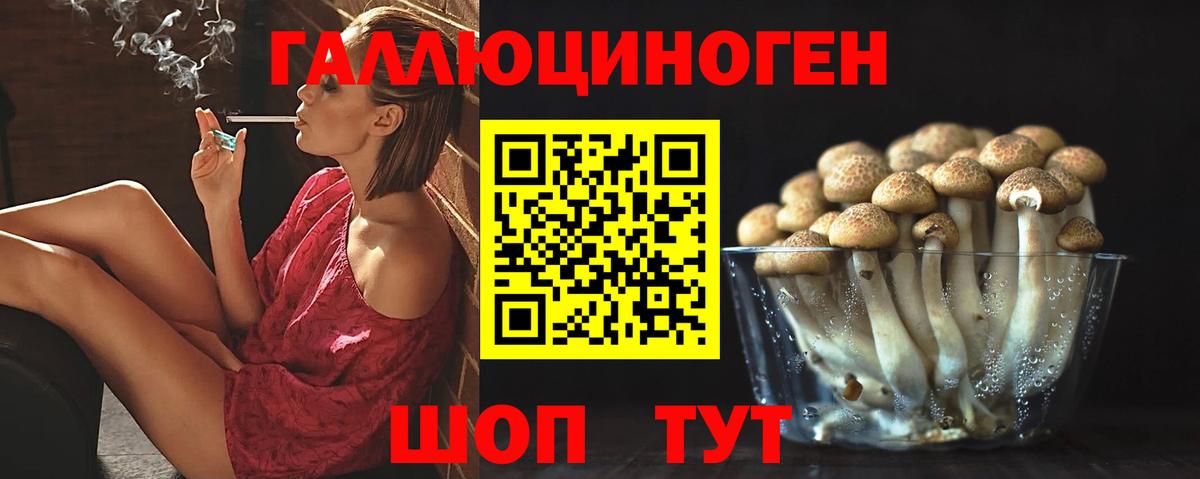 Канск  Галлюциногенные грибы прущие грибы  цены наркотик  Вход с VPN 